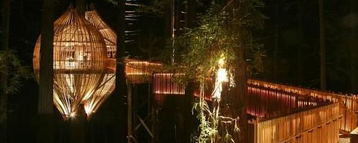 新西兰树上餐厅开业