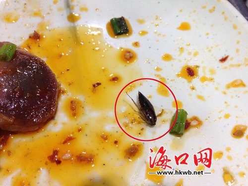 海口女子在韩太郎餐厅吃出蟑螂 店方：删照才免单