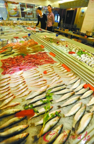 珠江新城有高档酒家推出经济实惠、低价位的海鲜小炒，顾客正在挑选海鲜。