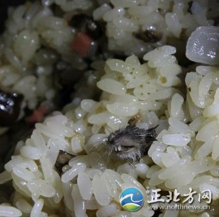 网友@啊晓啦在微博里称“瑞安瑞祥高中(原云江中学)早餐里惊现老鼠头”，并配上了图片。从图片上看，用塑料袋装着的糯米饭里，一个老鼠头十分醒目。
