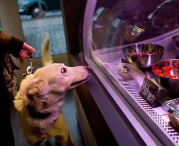德国开设首家高档宠物餐厅被批奢侈