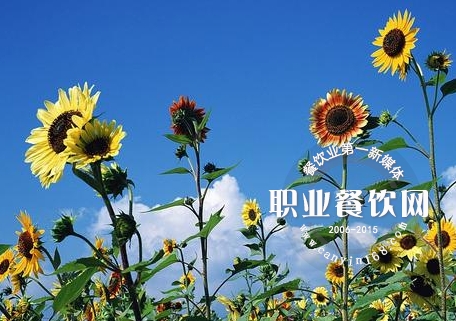 餐饮人，不要跟消耗你的人在一起