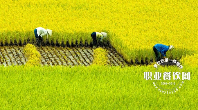 这才是餐饮老板最高境界：越清闲越赚钱！
