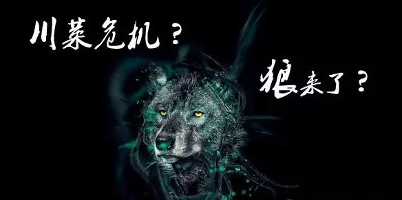 惊呼川菜狼来了  危言耸听为哪般