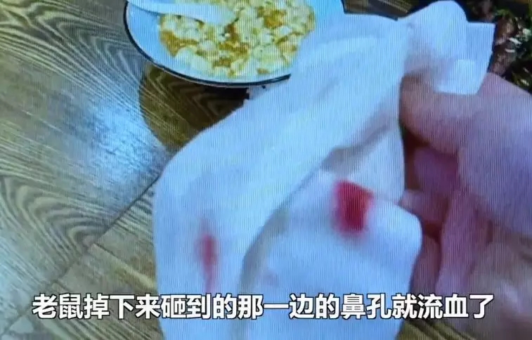上海一餐厅突然“天降硕鼠” ，顾客被砸得流鼻血……