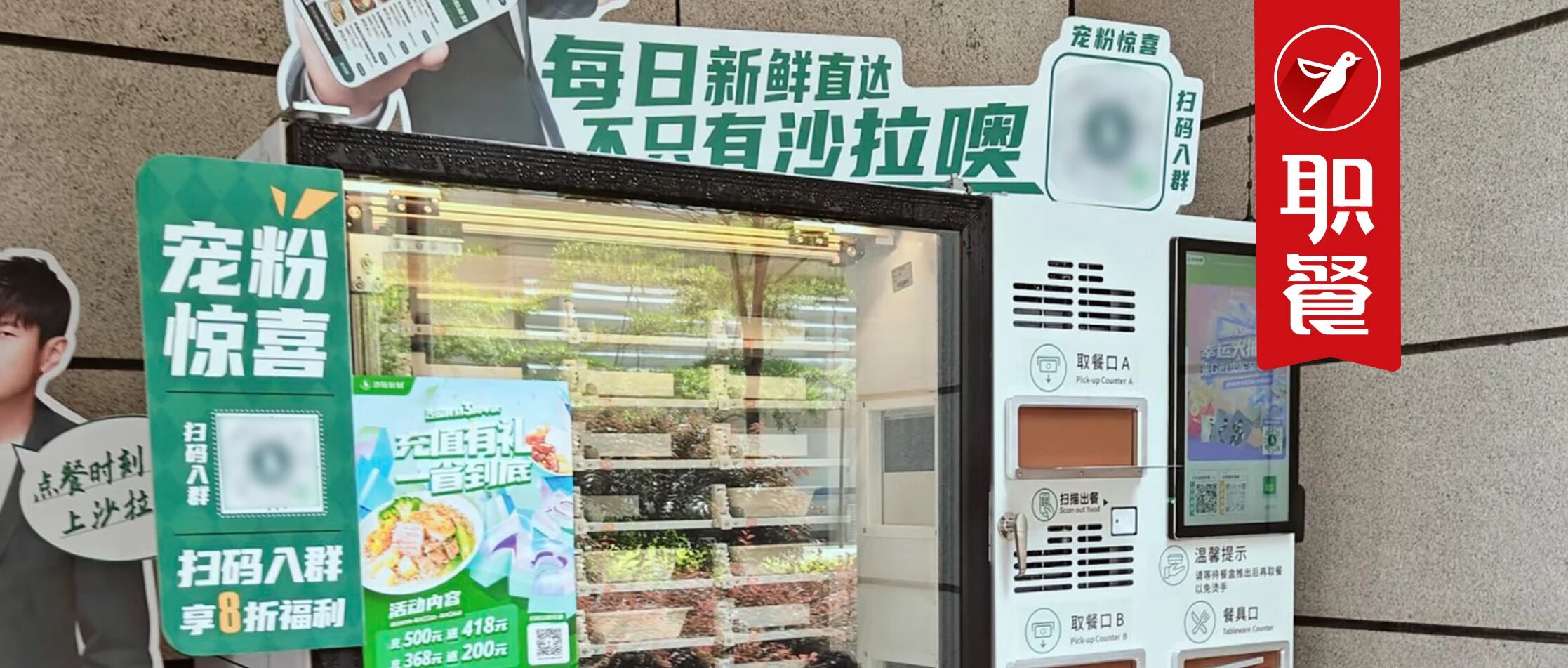 老板被悬赏“追债”！沙拉巨头暴雷，曾融资上亿，获周杰伦代言……