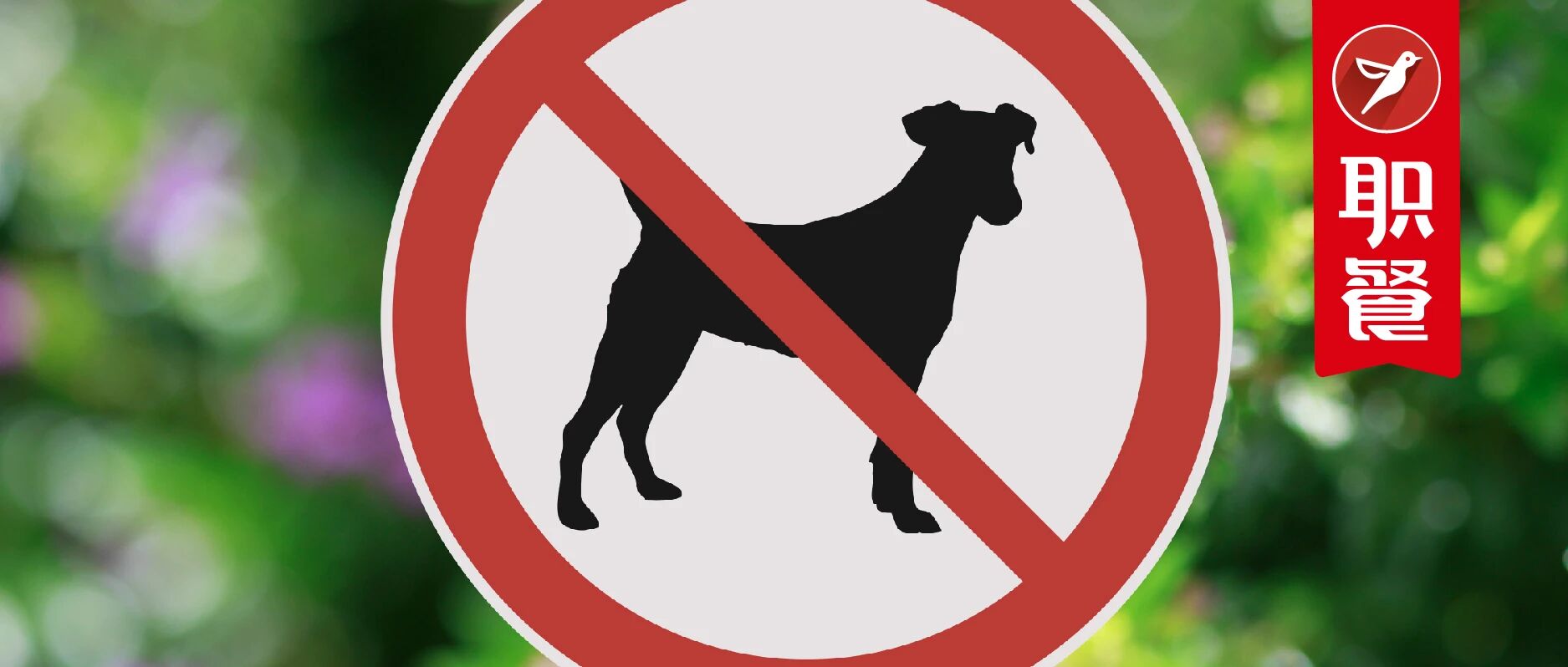 一条狗“吃垮”3家餐厅？！顾客“任性”，餐饮人“背锅”