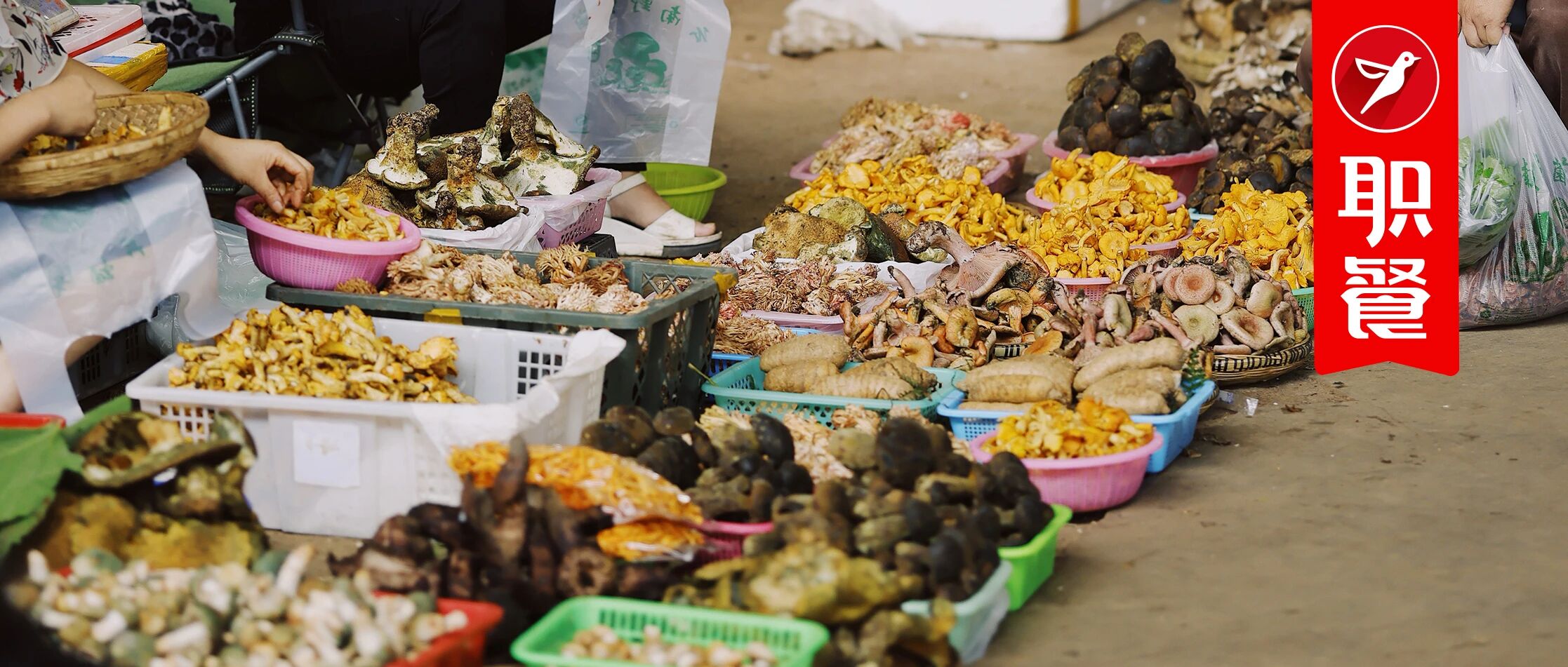 餐饮巨头们集体下乡“抢菜”!地标性食材,正在成为餐桌上的金矿!