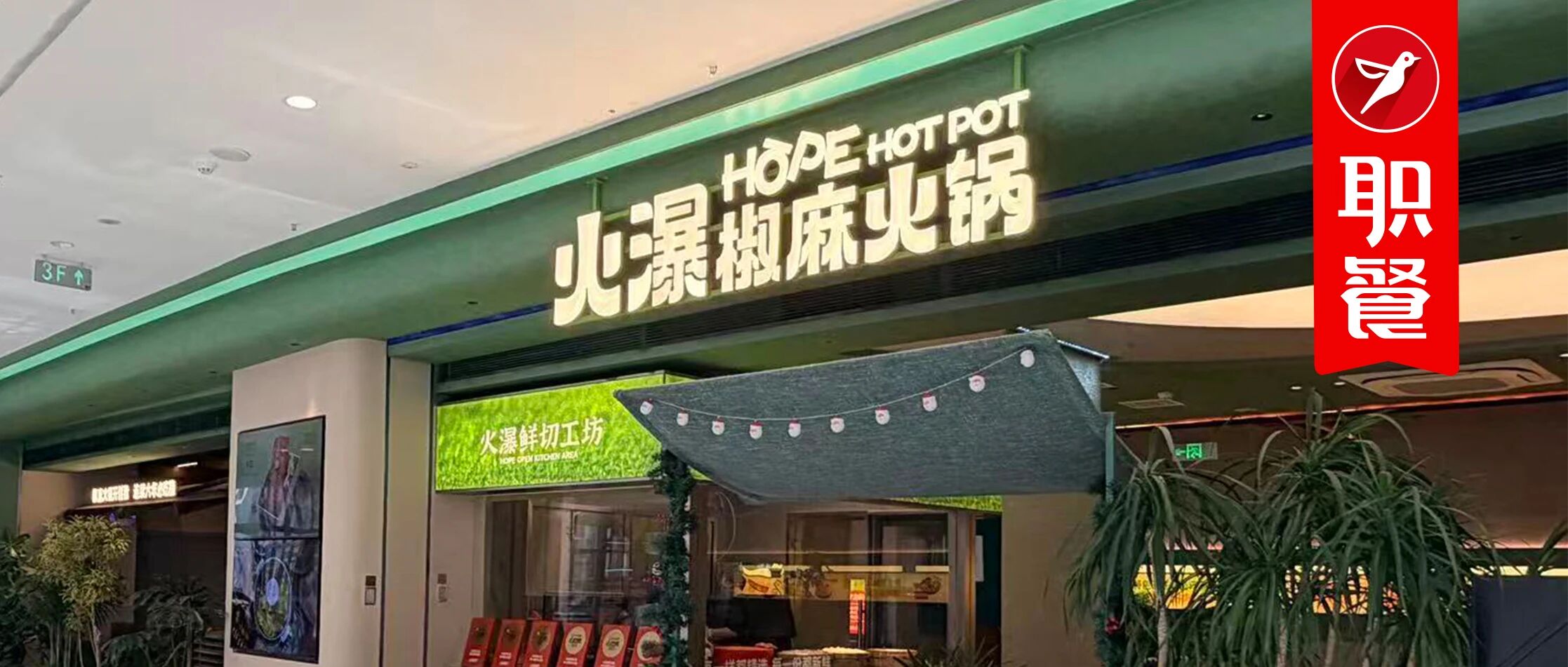 清油火锅爆发,他靠一口绿色锅底,创业十年,蝉联6年必吃榜!