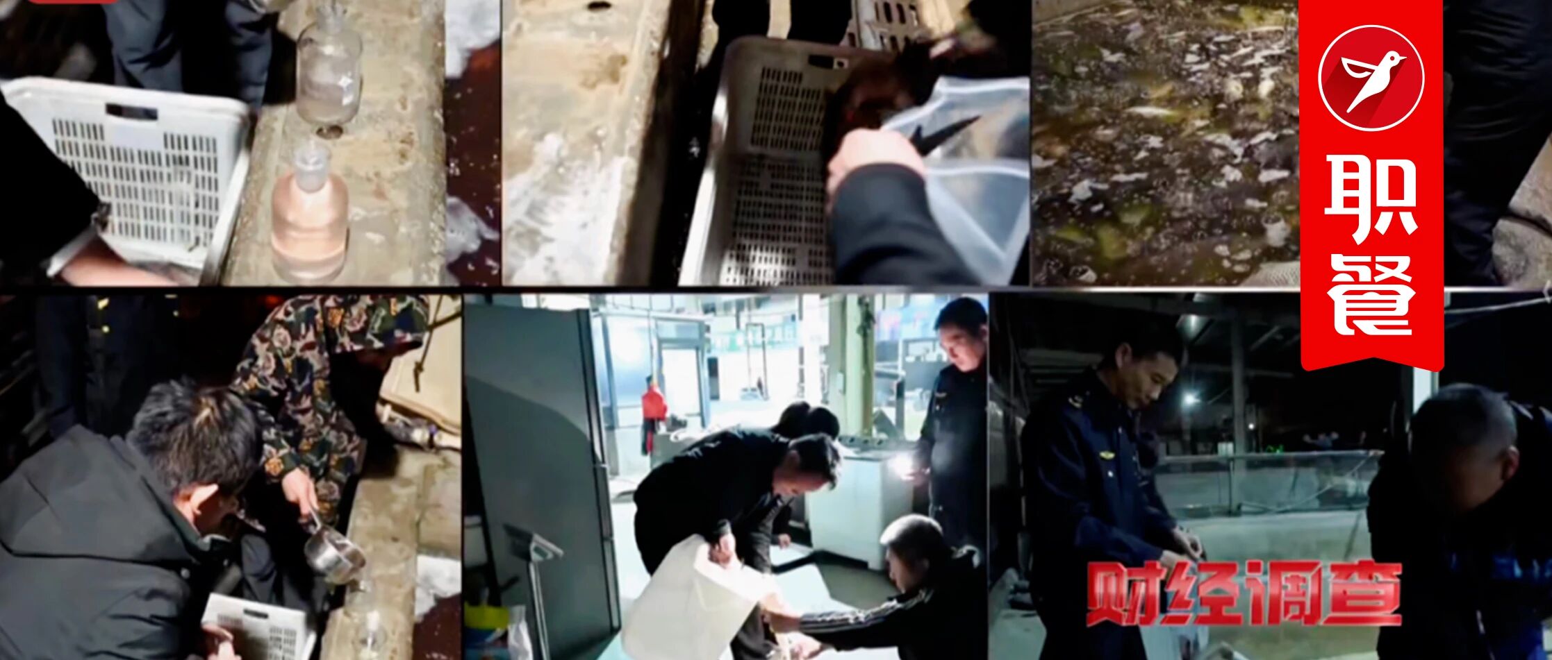 “活鱼现杀”成雷区？供应链暴雷，又要殃及餐饮人？