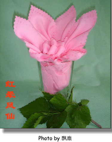 òõ廨