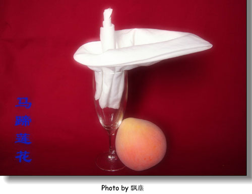 餐巾折花艺术欣赏