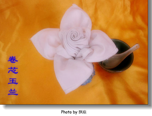 餐巾折花艺术欣赏