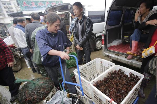 “网红美食”小龙虾 成都市场批发价半月内三级跳