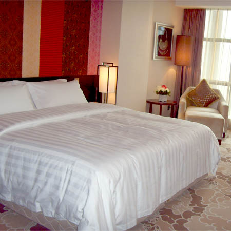 丽笙酒店内（客房）