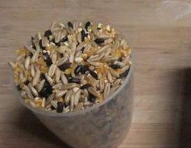 牛奶粥的做法